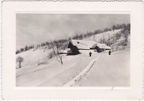 Alpi mera vercelli - mera,