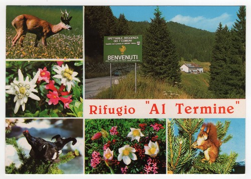Gallio rifugio al - -,