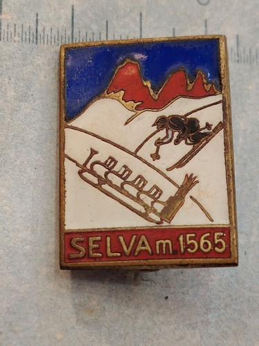 Distintivo montagna - distintivo,