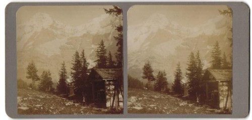 Fotografia stereo coppia con